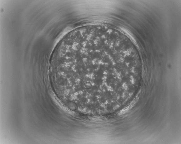 X0000057100899200510071934