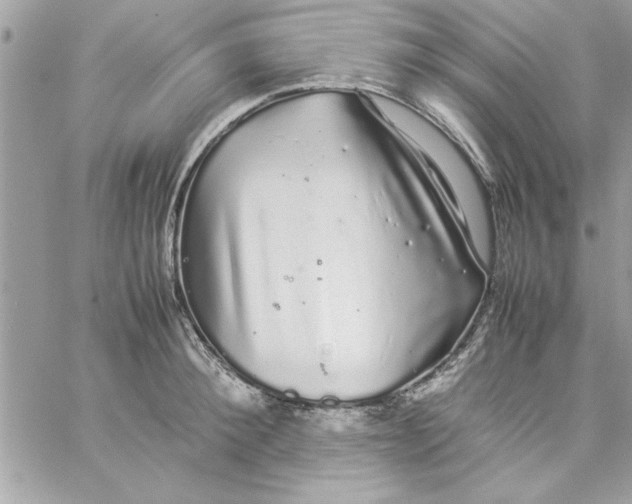 X0000057100900200510071934