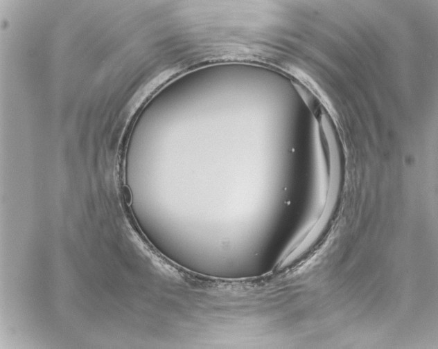 X0000057100901200510071934