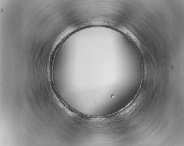 X0000057100902200510071934