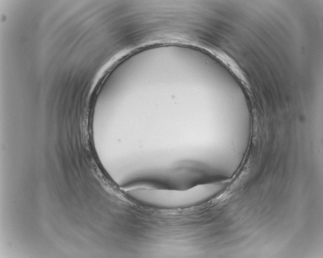 X0000057100904200510071934