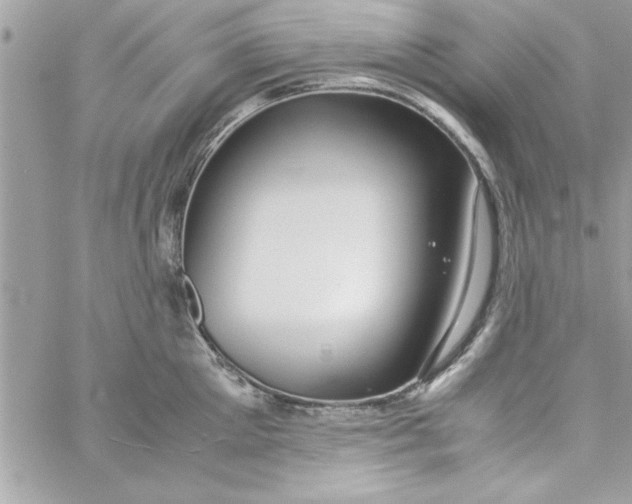 X0000057100905200510071934