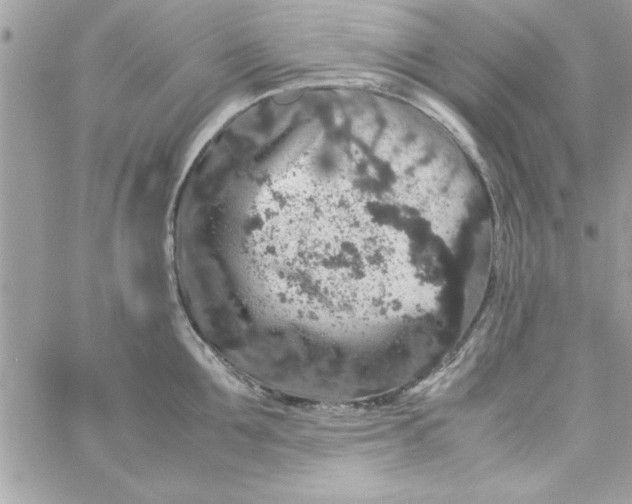 X0000057100907200510071934