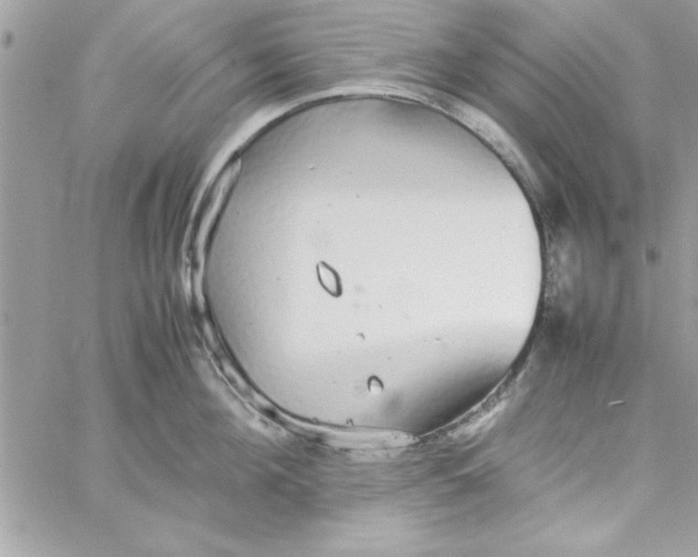 X0000057100908200510071934