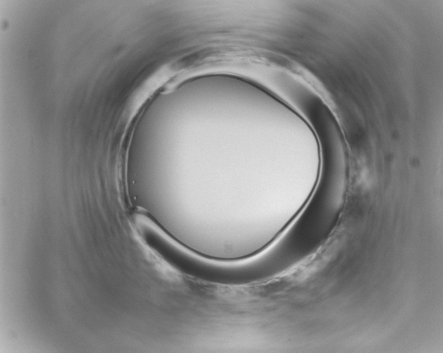 X0000057100909200510071934