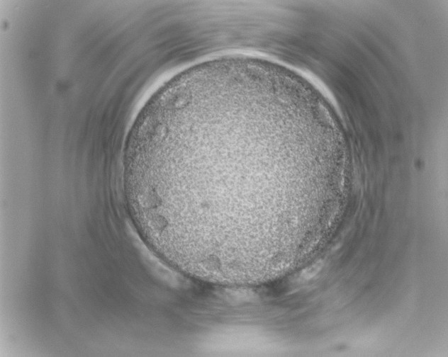 X0000057100911200510071934