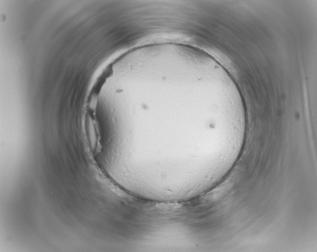 X0000057100912200510071934