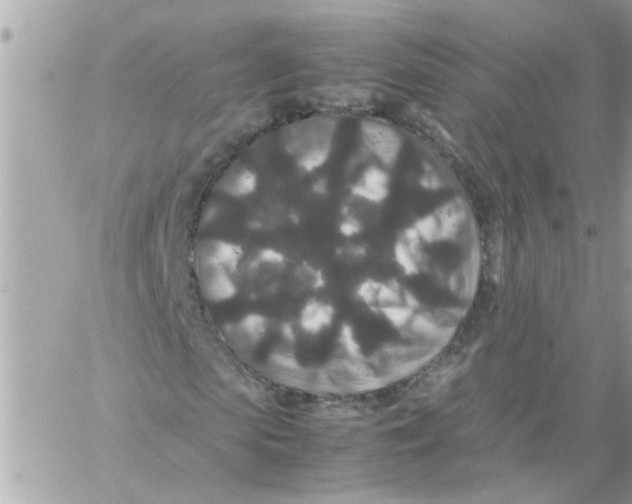 X0000057100913200510071933