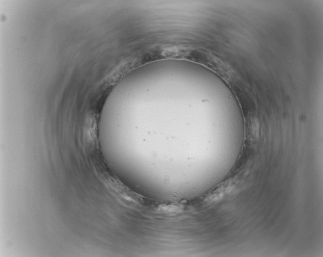 X0000057100914200510071933