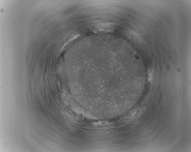 X0000057100915200510071933