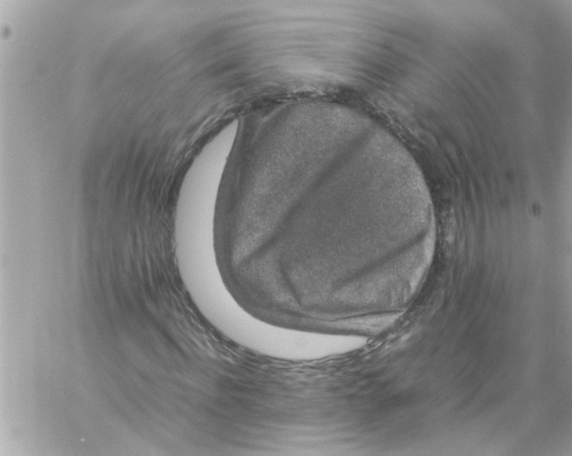 X0000057100916200510071933