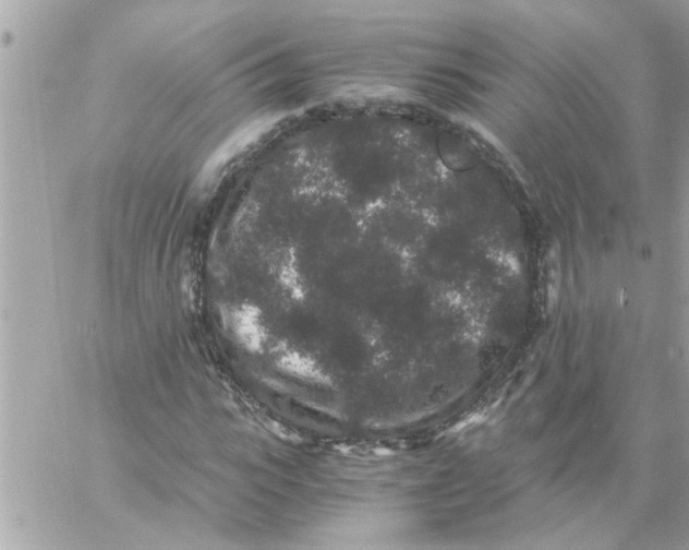 X0000057100919200510071933