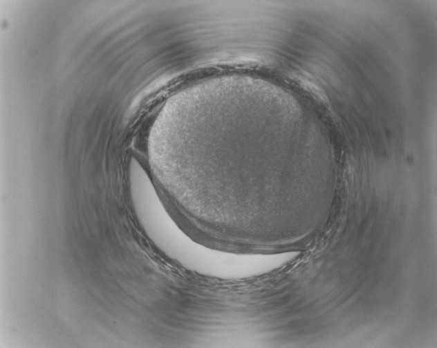 X0000057100920200510071933