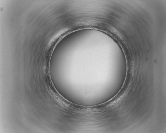 X0000057100922200510071933