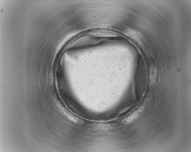 X0000057100924200510071933