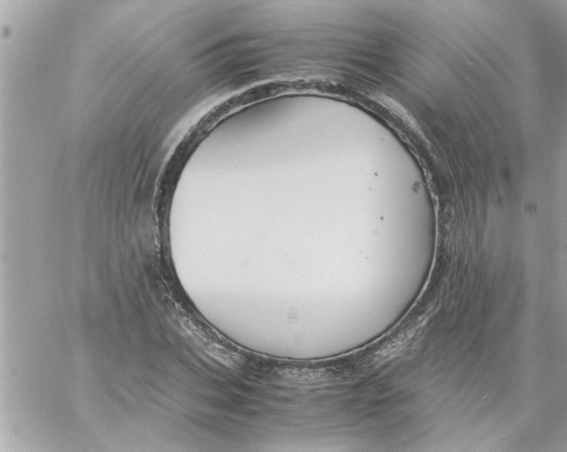 X0000057100927200510071933