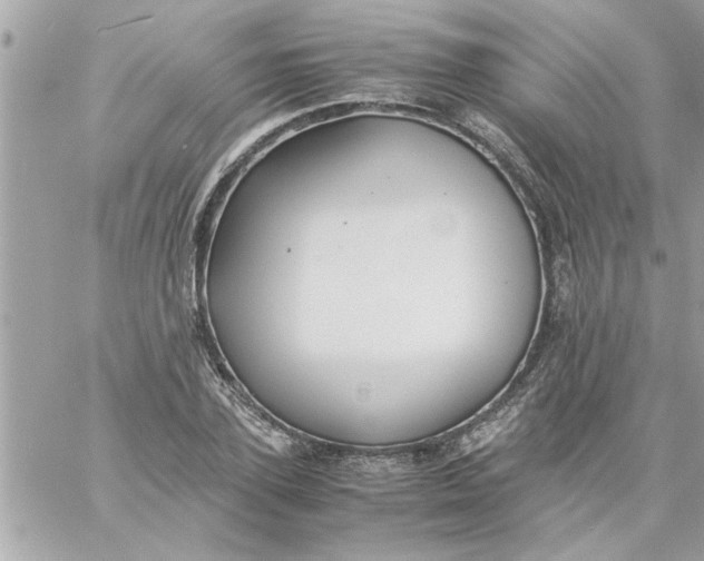 X0000057100931200510071933