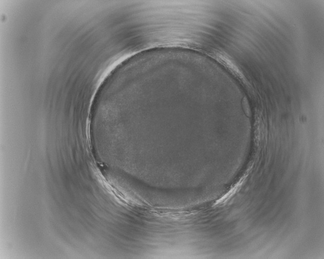 X0000057100932200510071933