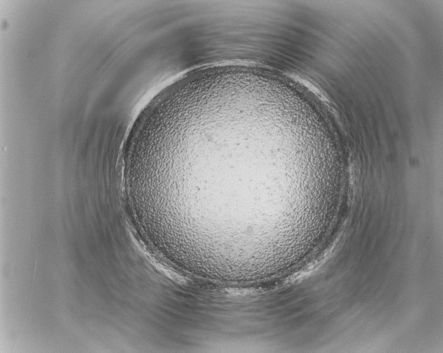 X0000057100933200510071933