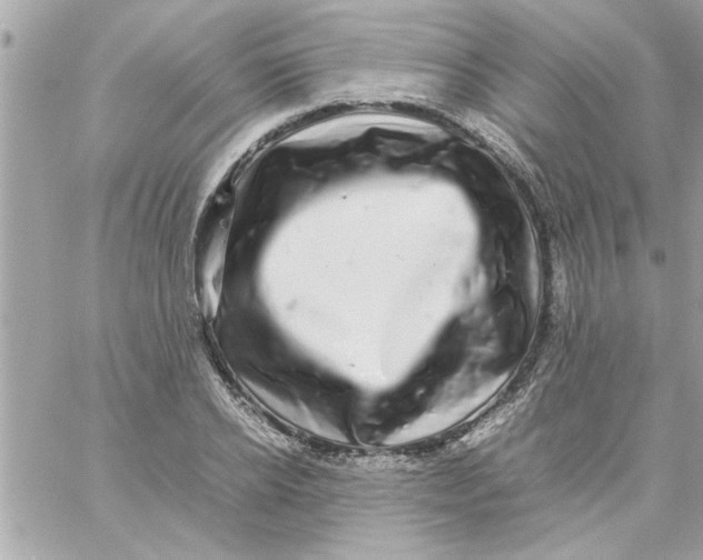 X0000057100934200510071933