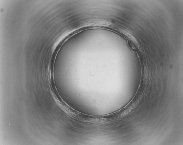 X0000057100936200510071933