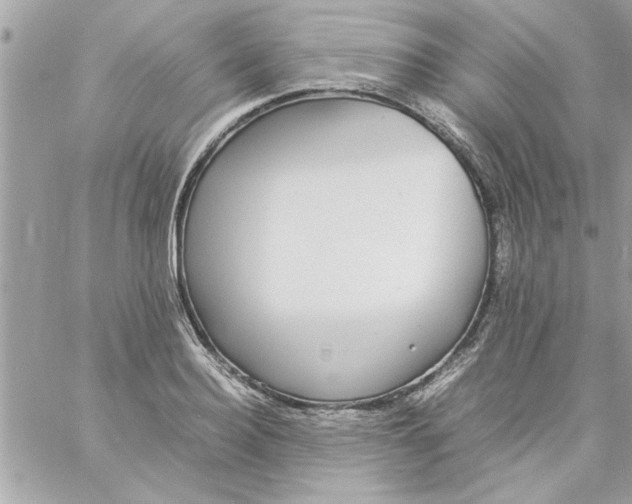 X0000057100940200510071933