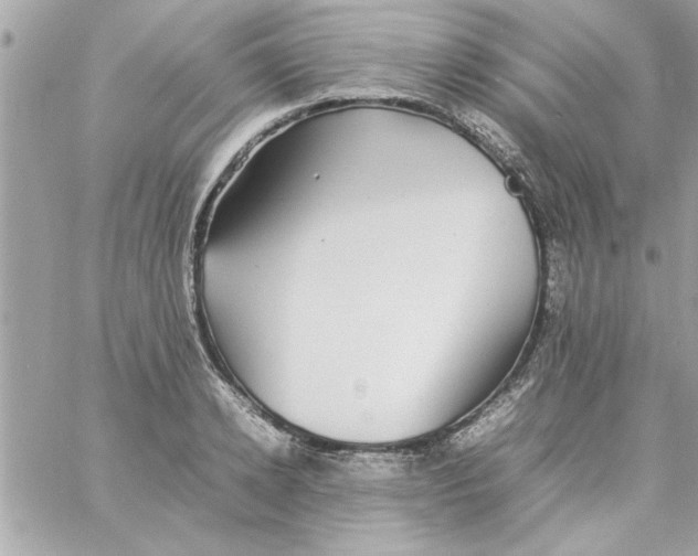 X0000057100942200510071933