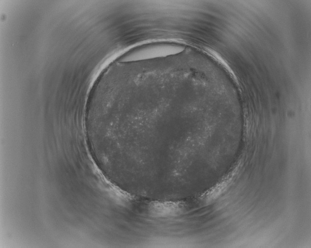 X0000057100943200510071933