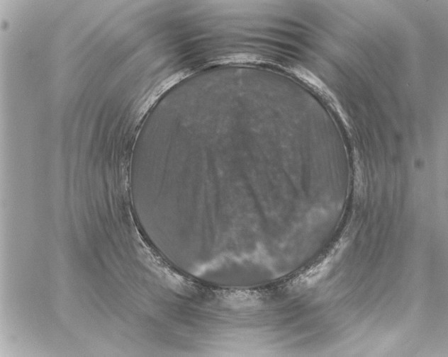 X0000057100945200510071933