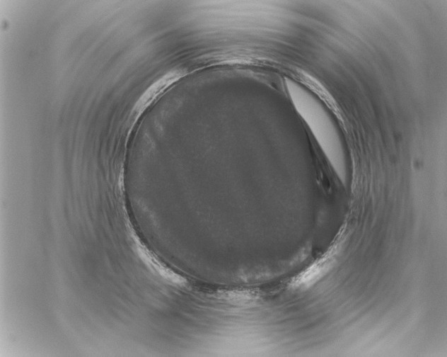 X0000057100946200510071933