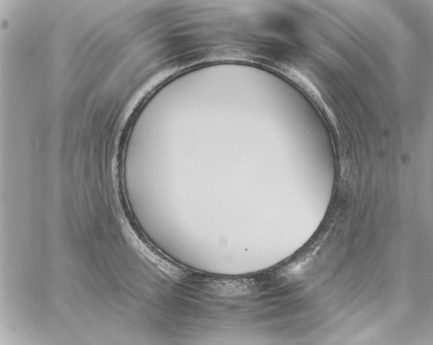 X0000057100947200510071933