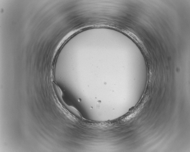 X0000057100948200510071933