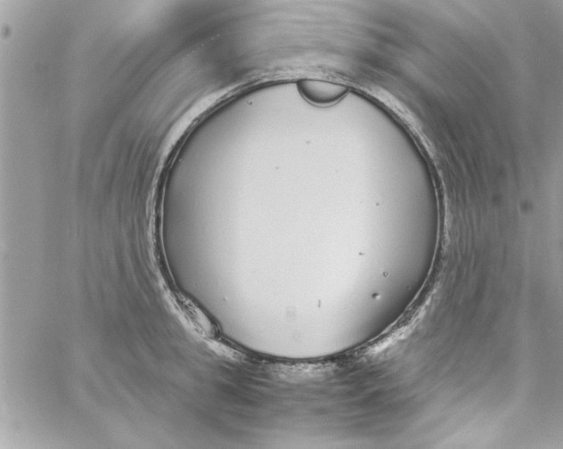 X0000057100949200510071933