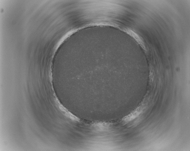 X0000057100950200510071933