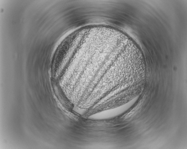 X0000057100951200510071933