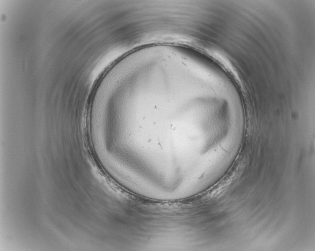 X0000057100952200510071934