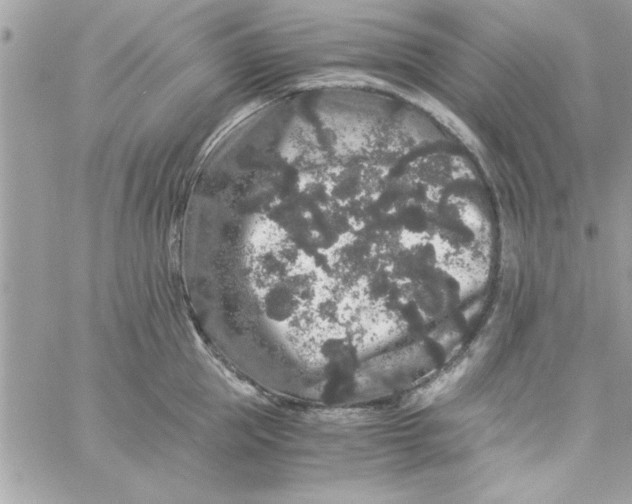 X0000057100953200510071934