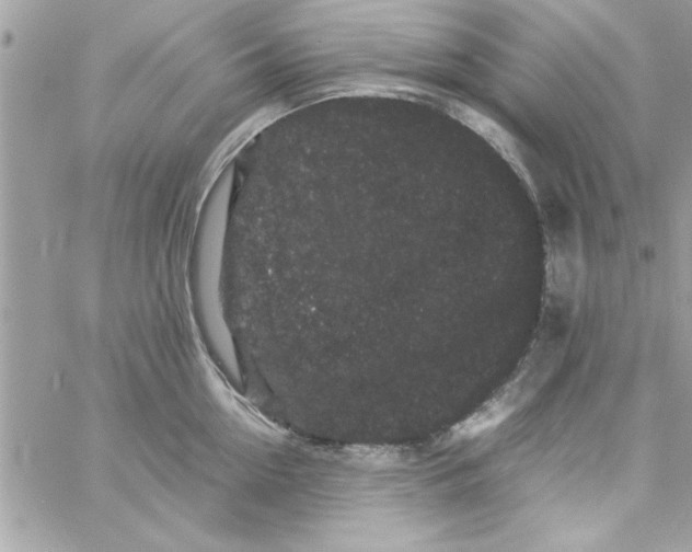 X0000057100954200510071934