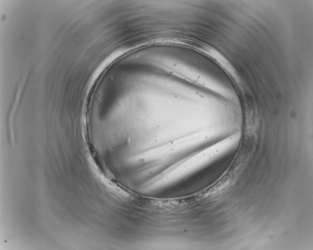 X0000057100955200510071934