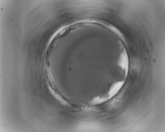 X0000057100958200510071934