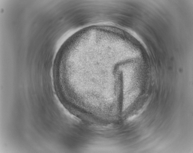 X0000057100959200510071934