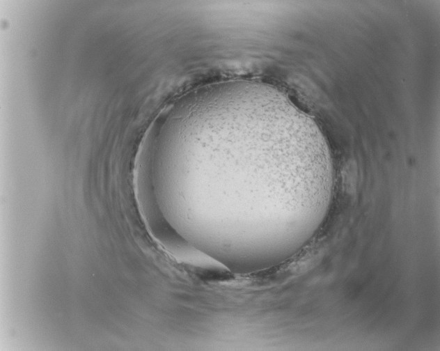 X0000057100961200510071933