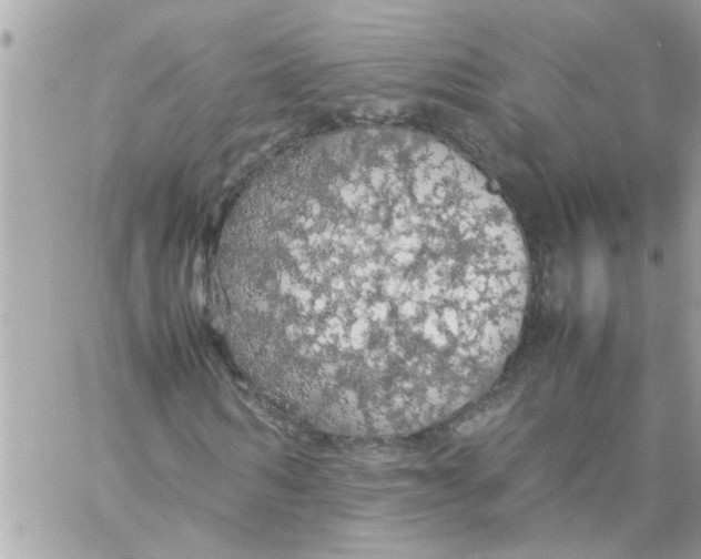 X0000057100962200510071933