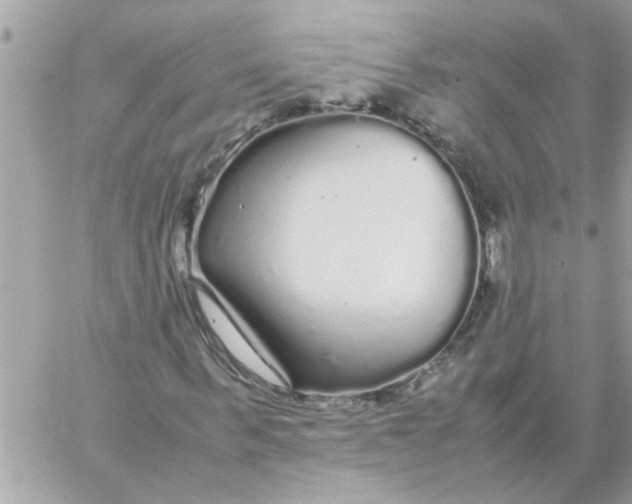 X0000057100963200510071933