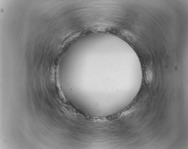 X0000057100964200510071933