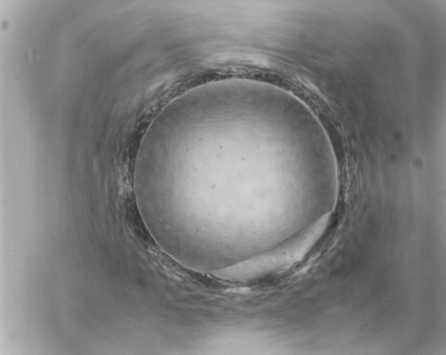 X0000057100965200510071933