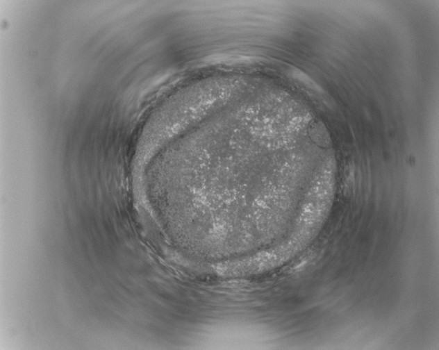 X0000057100966200510071933