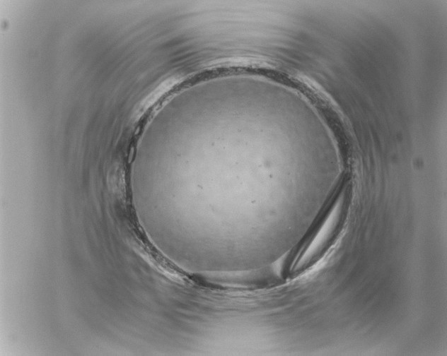 X0000057100969200510071933