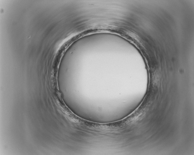 X0000057100971200510071933