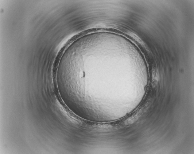 X0000057100972200510071933